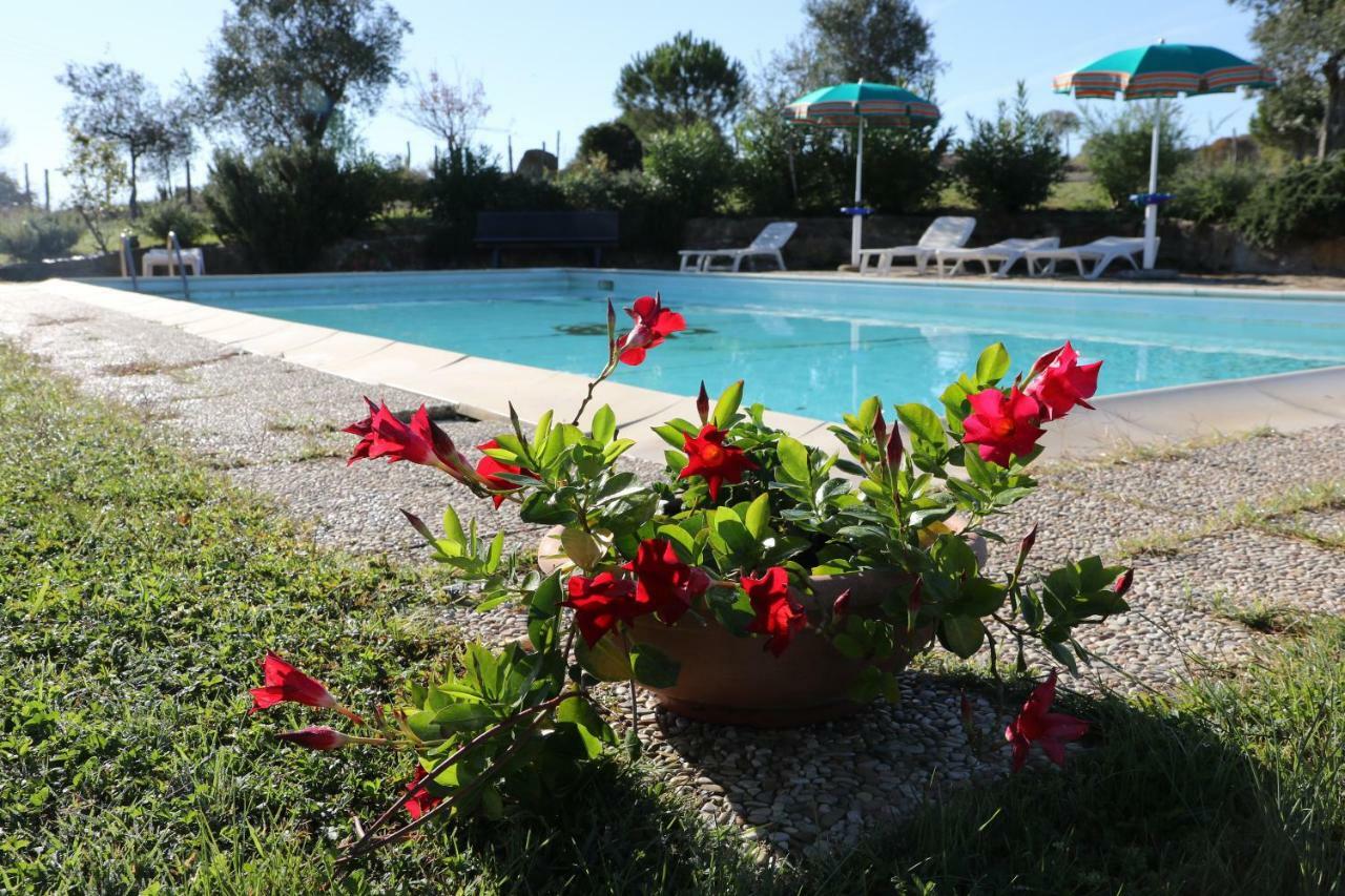 מונטיאנו Agriturismo Tinti מראה חיצוני תמונה