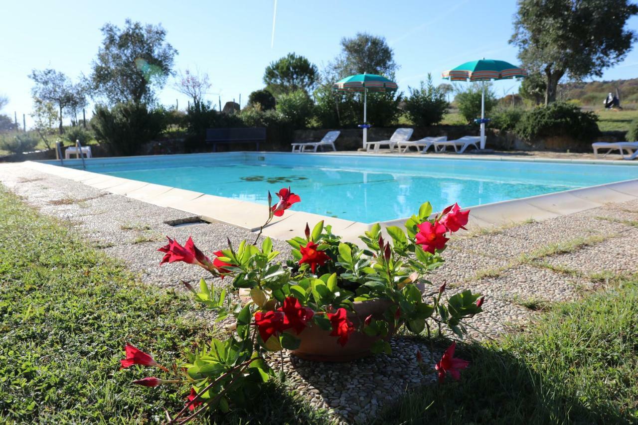 מונטיאנו Agriturismo Tinti מראה חיצוני תמונה